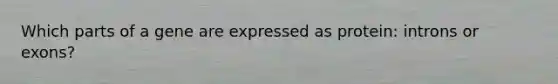 Which parts of a gene are expressed as protein: introns or exons?