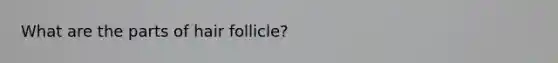 What are the parts of hair follicle?