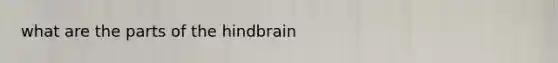 what are the parts of the hindbrain