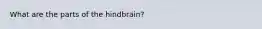 What are the parts of the hindbrain?