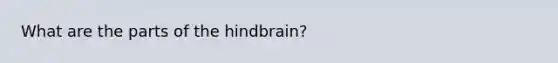 What are the parts of the hindbrain?