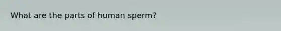 What are the parts of human sperm?