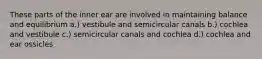 These parts of the inner ear are involved in maintaining balance and equilibrium a.) vestibule and semicircular canals b.) cochlea and vestibule c.) semicircular canals and cochlea d.) cochlea and ear ossicles