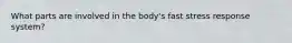 What parts are involved in the body's fast stress response system?