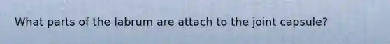 What parts of the labrum are attach to the joint capsule?