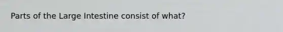 Parts of the Large Intestine consist of what?