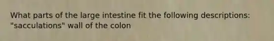 What parts of the <a href='https://www.questionai.com/knowledge/kGQjby07OK-large-intestine' class='anchor-knowledge'>large intestine</a> fit the following descriptions: "sacculations" wall of the colon