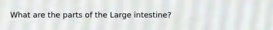 What are the parts of the <a href='https://www.questionai.com/knowledge/kGQjby07OK-large-intestine' class='anchor-knowledge'>large intestine</a>?