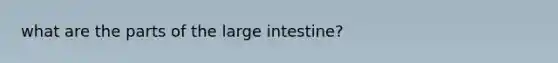 what are the parts of the <a href='https://www.questionai.com/knowledge/kGQjby07OK-large-intestine' class='anchor-knowledge'>large intestine</a>?