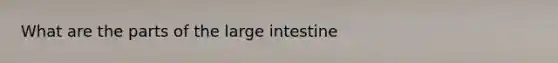 What are the parts of the large intestine