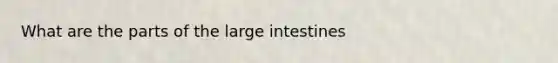 What are the parts of the <a href='https://www.questionai.com/knowledge/kGQjby07OK-large-intestine' class='anchor-knowledge'>large intestine</a>s