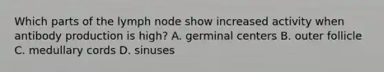 Which parts of the lymph node show increased activity when antibody production is high? A. germinal centers B. outer follicle C. medullary cords D. sinuses