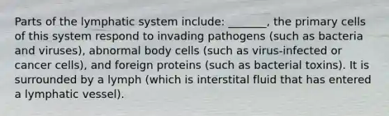 Parts of the lymphatic system include: _______, the primary cells of this system respond to invading pathogens (such as bacteria and viruses), abnormal body cells (such as virus-infected or cancer cells), and foreign proteins (such as bacterial toxins). It is surrounded by a lymph (which is interstital fluid that has entered a lymphatic vessel).