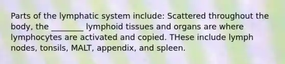 Parts of the lymphatic system include: Scattered throughout the body, the ________ lymphoid tissues and organs are where lymphocytes are activated and copied. THese include lymph nodes, tonsils, MALT, appendix, and spleen.