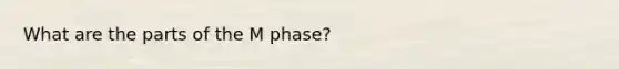 What are the parts of the M phase?