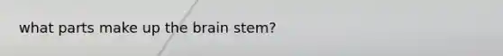 what parts make up <a href='https://www.questionai.com/knowledge/kLMtJeqKp6-the-brain' class='anchor-knowledge'>the brain</a> stem?