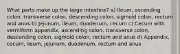 What parts make up the large intestine? a) Ileum, ascending colon, transverse colon, descending colon, sigmoid colon, rectum and anus b) Jejunum, ileum, duodenum, cecum c) Cecum with vermiform appendix, ascending colon, transverse colon, descending colon, sigmoid colon, rectum and anus d) Appendix, cecum, ileum, jejunum, duodenum, rectum and anus