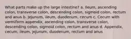 What parts make up the large intestine? a. Ileum, ascending colon, transverse colon, descending colon, sigmoid colon, rectum and anus b. Jejunum, ileum, duodenum, cecum c. Cecum with vermiform appendix, ascending colon, transverse colon, descending colon, sigmoid colon, rectum and anus d. Appendix, cecum, ileum, jejunum, duodenum, rectum and anus