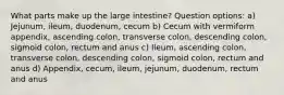 What parts make up the large intestine? Question options: a) Jejunum, ileum, duodenum, cecum b) Cecum with vermiform appendix, ascending colon, transverse colon, descending colon, sigmoid colon, rectum and anus c) Ileum, ascending colon, transverse colon, descending colon, sigmoid colon, rectum and anus d) Appendix, cecum, ileum, jejunum, duodenum, rectum and anus