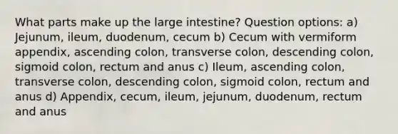 What parts make up the large intestine? Question options: a) Jejunum, ileum, duodenum, cecum b) Cecum with vermiform appendix, ascending colon, transverse colon, descending colon, sigmoid colon, rectum and anus c) Ileum, ascending colon, transverse colon, descending colon, sigmoid colon, rectum and anus d) Appendix, cecum, ileum, jejunum, duodenum, rectum and anus