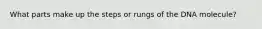 What parts make up the steps or rungs of the DNA molecule?