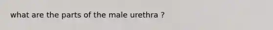 what are the parts of the male urethra ?