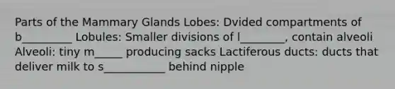 Parts of the Mammary Glands Lobes: Dvided compartments of b_________ Lobules: Smaller divisions of l________, contain alveoli Alveoli: tiny m_____ producing sacks Lactiferous ducts: ducts that deliver milk to s___________ behind nipple