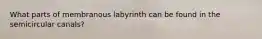 What parts of membranous labyrinth can be found in the semicircular canals?