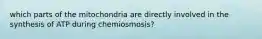 which parts of the mitochondria are directly involved in the synthesis of ATP during chemiosmosis?