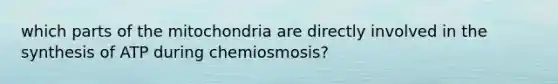 which parts of the mitochondria are directly involved in the synthesis of ATP during chemiosmosis?