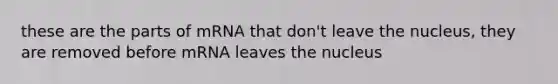 these are the parts of mRNA that don't leave the nucleus, they are removed before mRNA leaves the nucleus