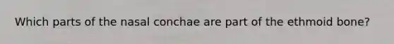 Which parts of the nasal conchae are part of the ethmoid bone?