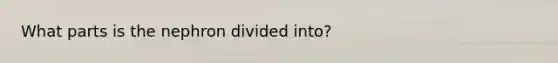 What parts is the nephron divided into?
