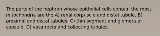 The parts of the nephron whose epithelial cells contain the most mitochondria are the A) renal corpuscle and distal tubule. B) proximal and distal tubules. C) thin segment and glomerular capsule. D) vasa recta and collecting tubules.