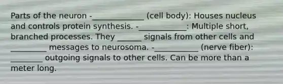 Parts of the neuron -_____________ (cell body): Houses nucleus and controls protein synthesis. -____________: Multiple short, branched processes. They ______ signals from other cells and _________ messages to neurosoma. -___________ (nerve fiber): ________ outgoing signals to other cells. Can be more than a meter long.