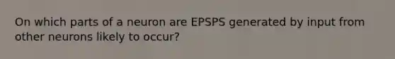 On which parts of a neuron are EPSPS generated by input from other neurons likely to occur?