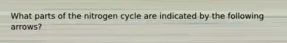 What parts of the nitrogen cycle are indicated by the following arrows?