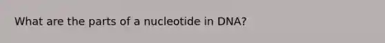 What are the parts of a nucleotide in DNA?