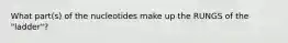 What part(s) of the nucleotides make up the RUNGS of the "ladder"?