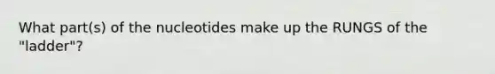 What part(s) of the nucleotides make up the RUNGS of the "ladder"?