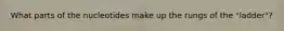 What parts of the nucleotides make up the rungs of the "ladder"?
