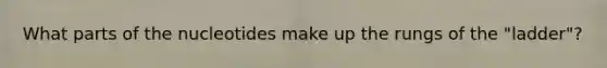 What parts of the nucleotides make up the rungs of the "ladder"?