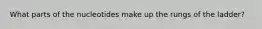 What parts of the nucleotides make up the rungs of the ladder?