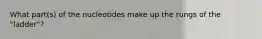 What part(s) of the nucleotides make up the rungs of the "ladder"?
