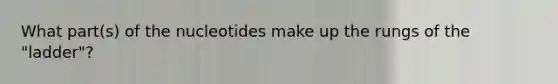 What part(s) of the nucleotides make up the rungs of the "ladder"?