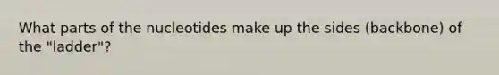 What parts of the nucleotides make up the sides (backbone) of the "ladder"?