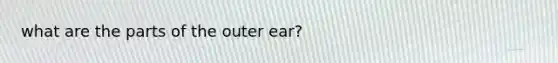 what are the parts of the outer ear?