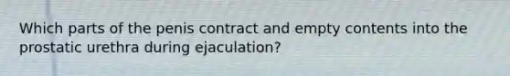 Which parts of the penis contract and empty contents into the prostatic urethra during ejaculation?