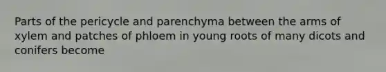 Parts of the pericycle and parenchyma between the arms of xylem and patches of phloem in young roots of many dicots and conifers become