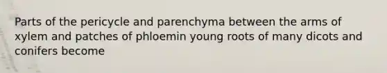 Parts of the pericycle and parenchyma between the arms of xylem and patches of phloemin young roots of many dicots and conifers become